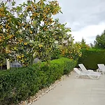 Byzantium Gardens - Blue