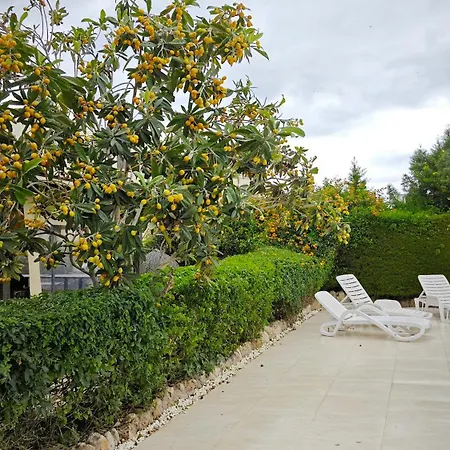 Byzantium Gardens - Blue