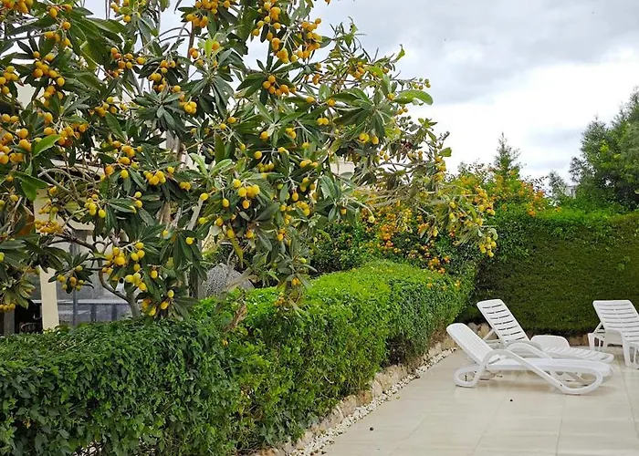 Byzantium Gardens - Blue